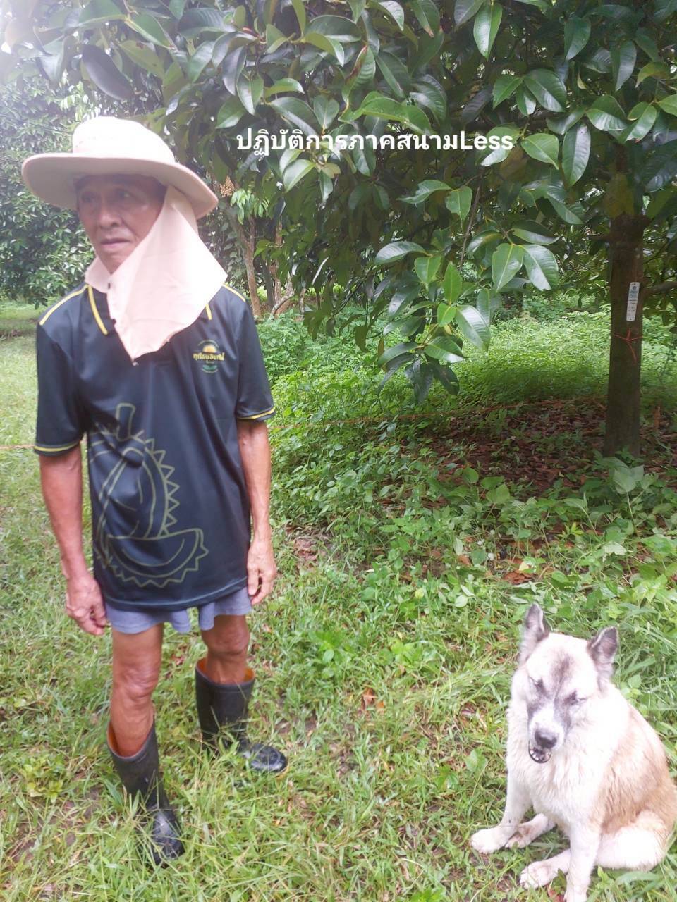 ปฏิบัติการภาคสนาม