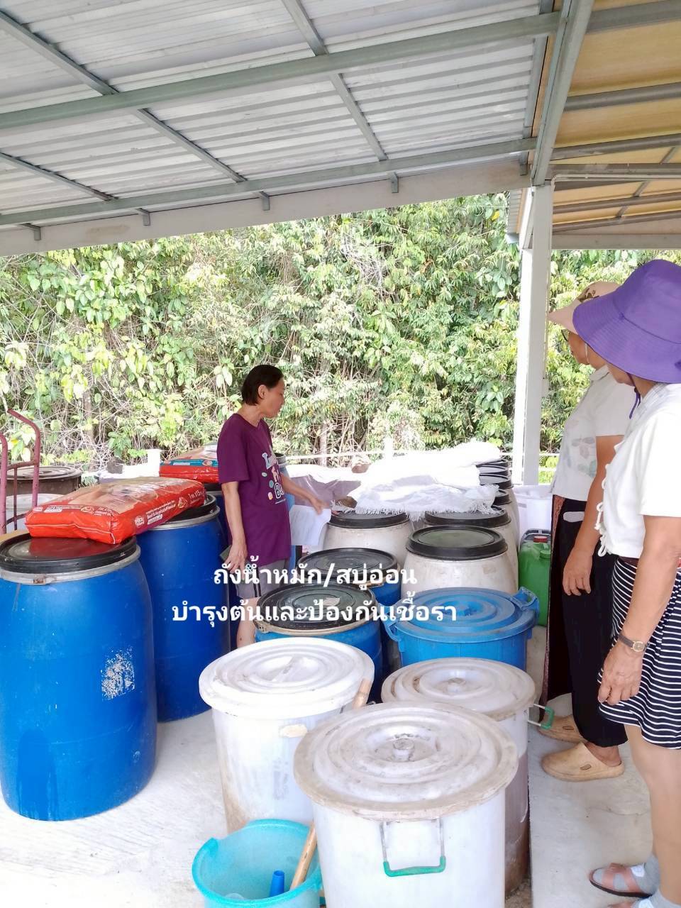 ปฏิบัติการภาคสนาม