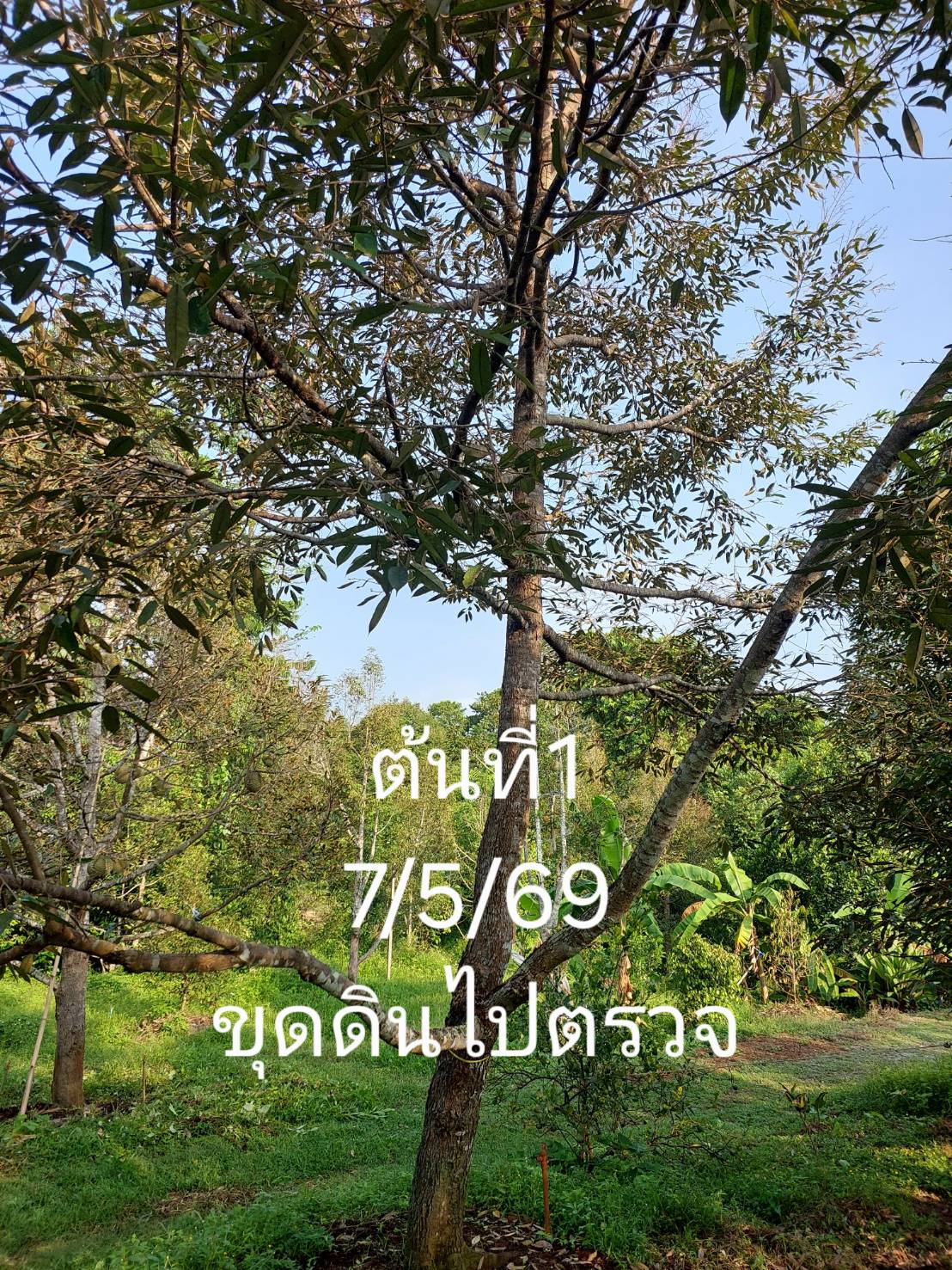 ความเคลื่อนไหว