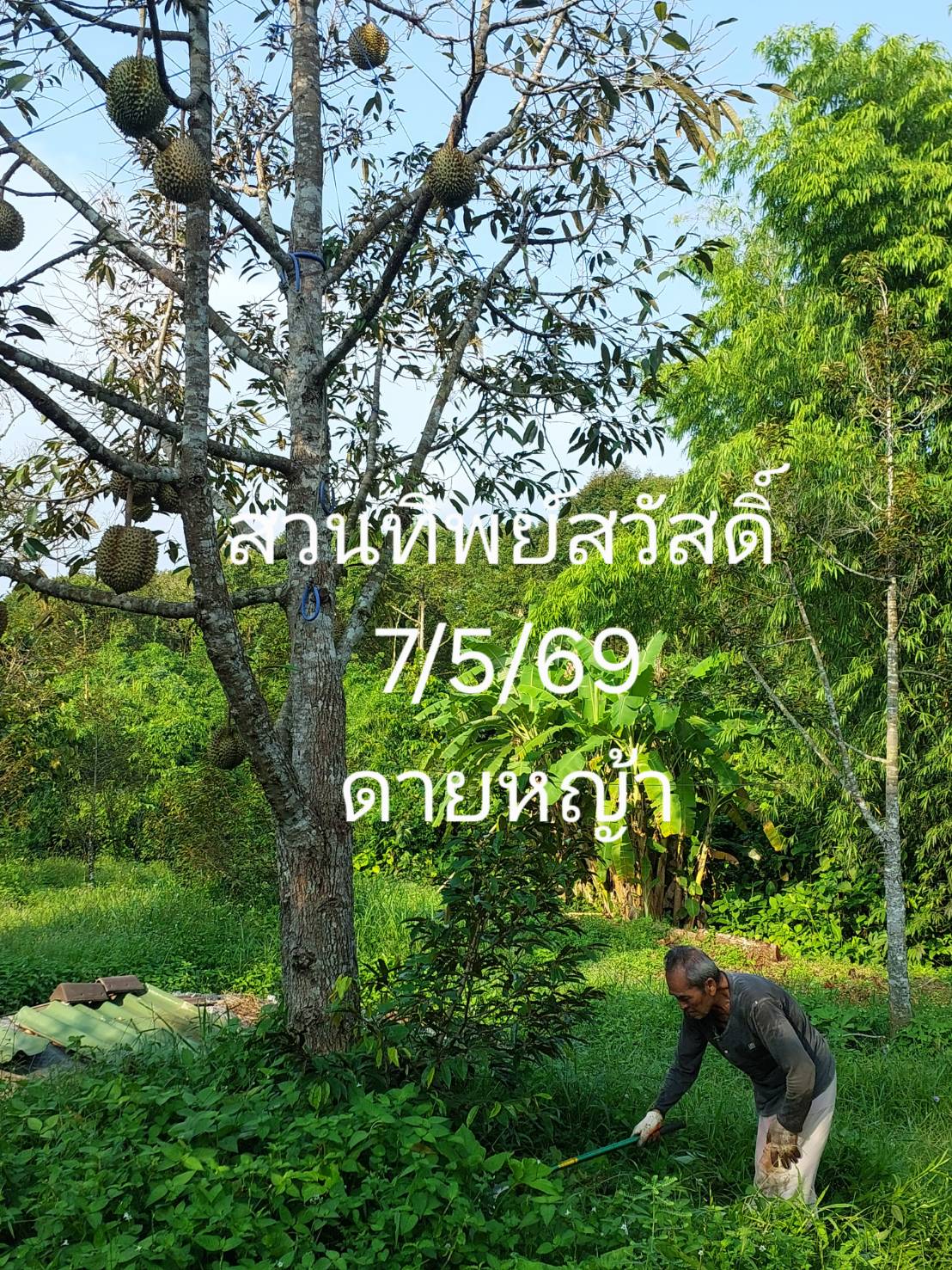ความเคลื่อนไหว
