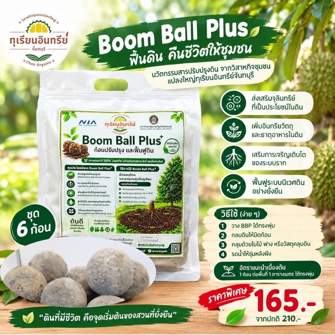 ฺิBoom Ball Plus ก้อนฟื้นฟูดิน บำรุงต้นไม้ ชุด 6 ก้อน