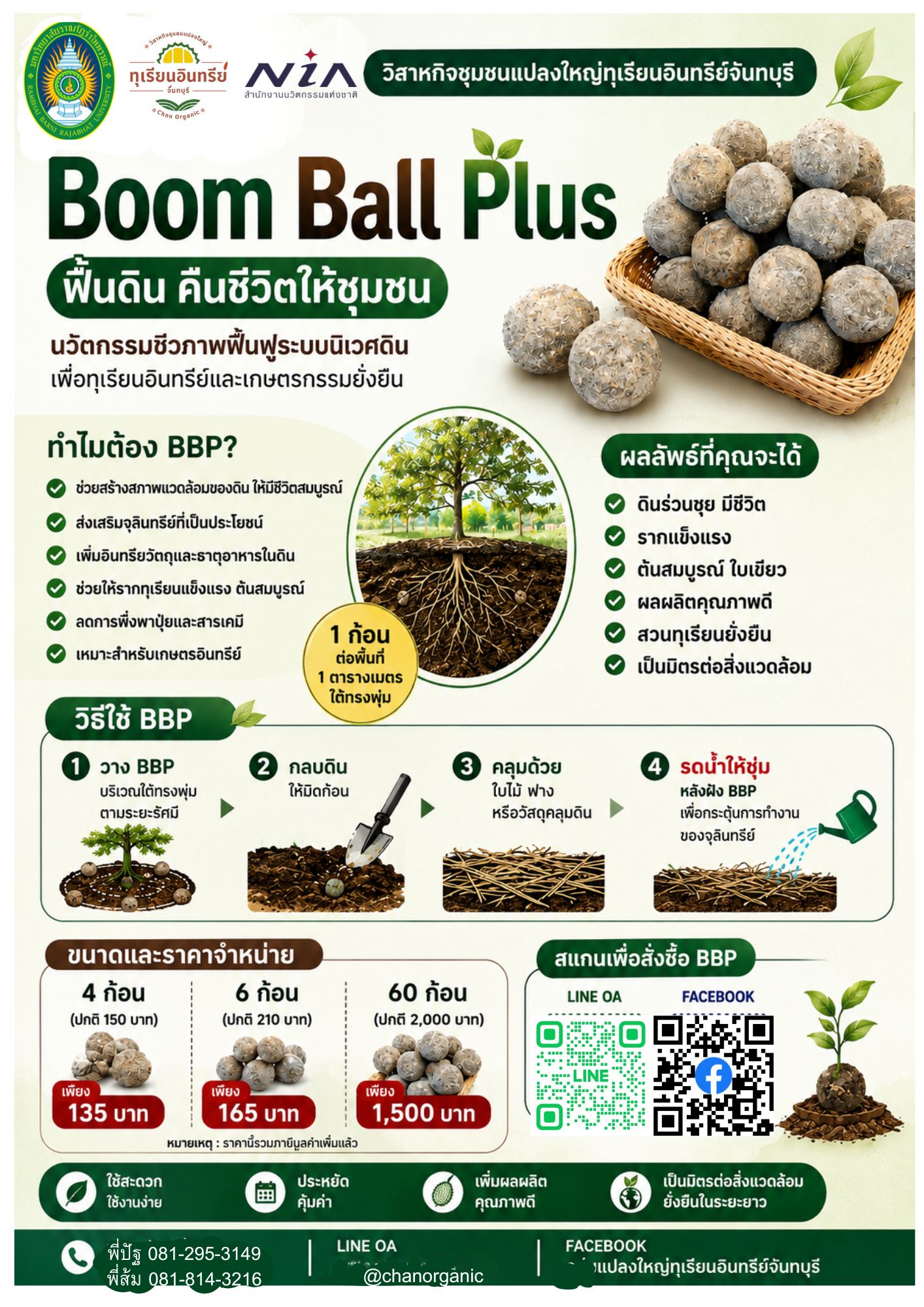 ฺิBoom Ball Plus ก้อนฟื้นฟูดิน บำรุงต้นไม้ ภาพที่ 2